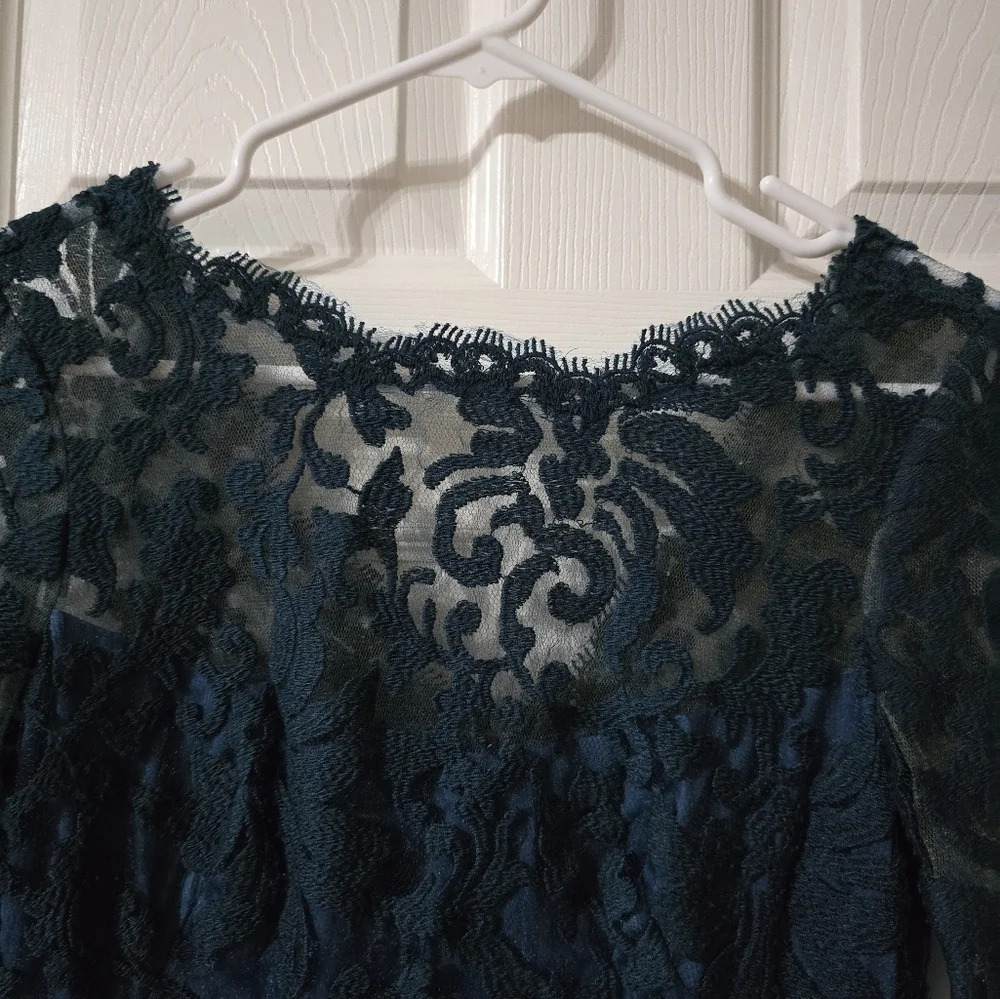 Tadashi Shoji Paillette Embroidered Lace & Tulle Sheath Dress in Teal, Sz 2, EUC - Picture 7 of 16